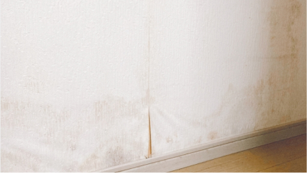 カビや汚れ、変色