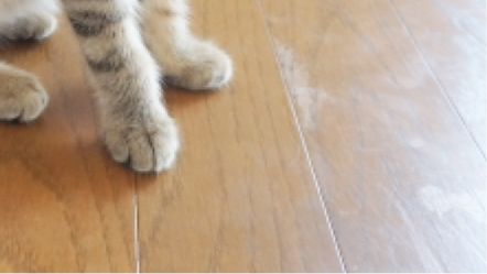 ペットの爪痕や汚れ